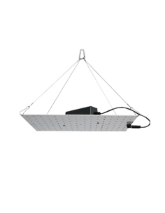 Rhino Serie 70
