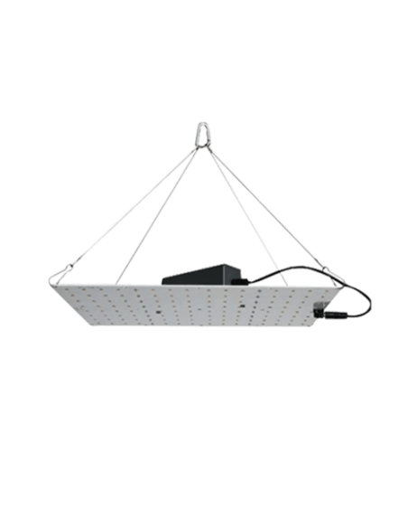 Rhino Serie 70