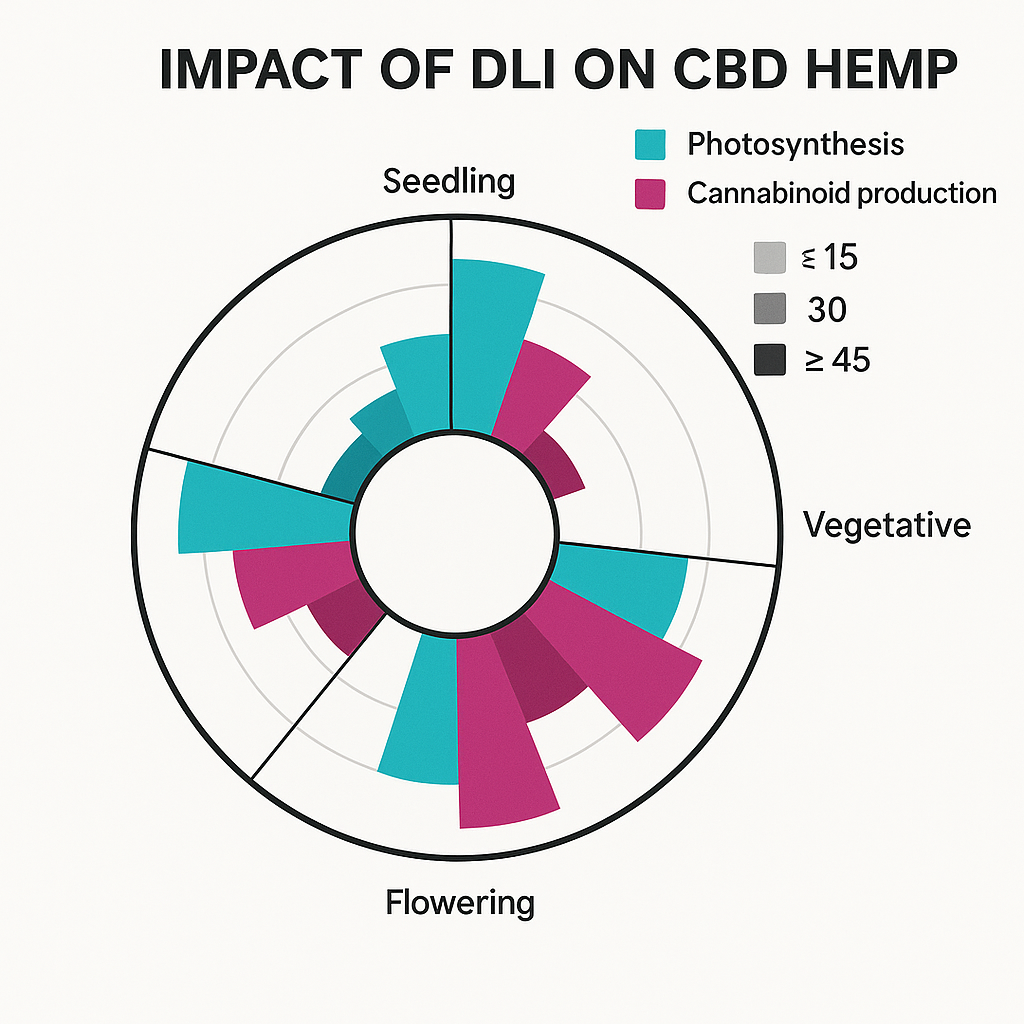Diagramme comparatif des effets du DLI sur la photosynthèse et la production de cannabinoïdes