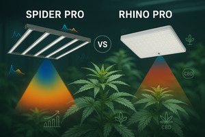 Analyse comparative des spectres LED Spider PRO vs Rhino PRO sur la croissance et cannabinoïdes CBD